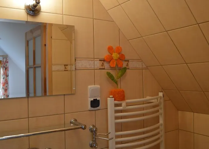 Goscinne Arnika Gorska Homestay