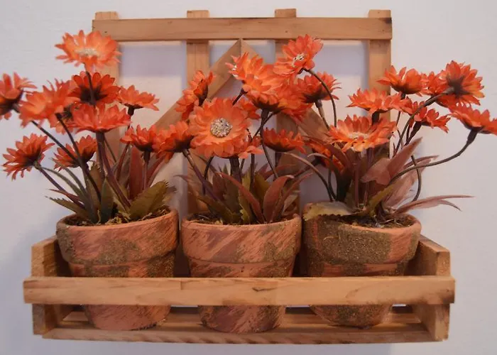 Goscinne Arnika Gorska Homestay *