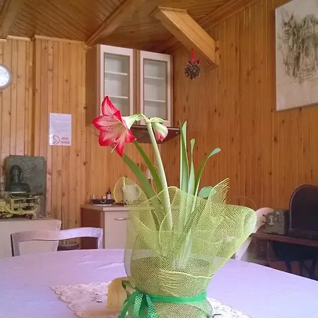 Δωμάτια σε οικογενειακή κατοικία Goscinne Arnika Gorska