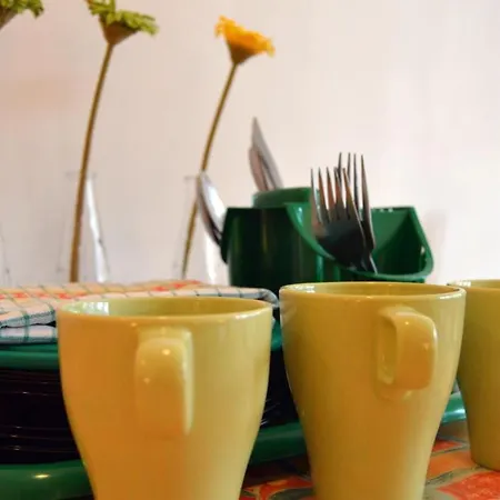 Goscinne Arnika Gorska