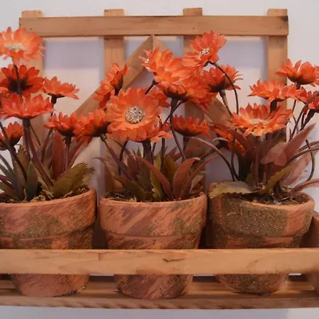 Goscinne Arnika Gorska Homestay *