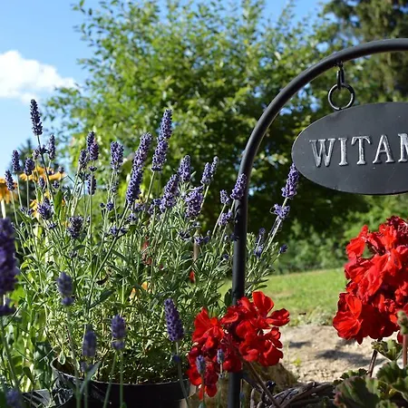 Goscinne Arnika Gorska *