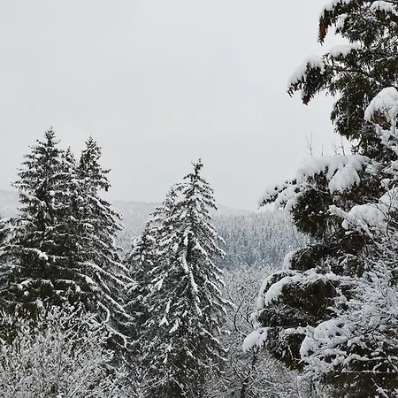 Δωμάτια σε οικογενειακή κατοικία Goscinne Arnika Gorska *