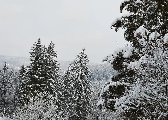 民宿 Goscinne Arnika Gorska *